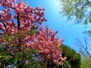 Visite guidée olfactive : LE PARC DE L’ORANGERIE