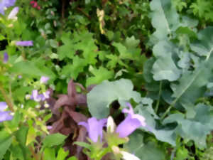 Rendez-vous aux jardins - Le jardin du bout de la forêt