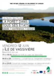 photo Nuits des forêts : la forêt dans tous ses états