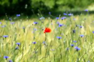 photo LA FÊTE DES PRES