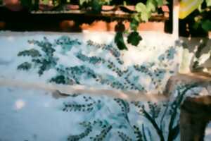 VILLAGES, VIGNES ET GARRIGUES