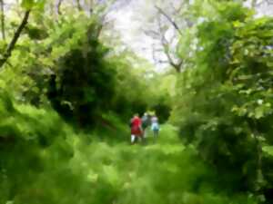 Sortie : Les 4 saisons du Kochersberg