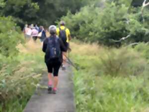 Tour du lac - Saint Paul - Aureilhan