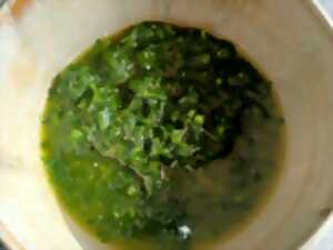photo Balade et cuisine sauvage