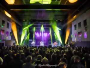 photo Salle de concerts de Wood Stock Guitares