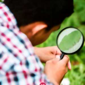 Sortie nature : Enquête sauvage