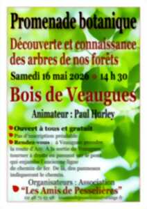 photo Promenade botanique