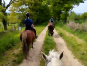 photo Rando Découverte