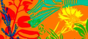 photo Inauguration EX(S)ISTERE ODE AU VÉGÉTAL SAUVAGE