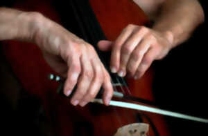 15e Festival Cordes & Cies