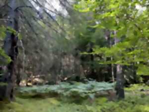 PRINTEMPS DES SENS - SÉJOUR OUÏE ET TOUCHER