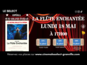 photo Opéra sur grand écran - La flûte enchantée