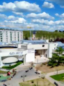 Visite des collections 