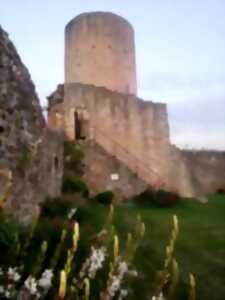 photo VISITES DU CHÂTEAU COMTAL ET SON DONJON