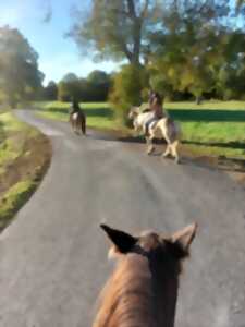 photo JOURNEE « A CHEVAL EN NATURE ! »