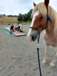 STAGES MENSUELS EQUIYOGA LU-JONG DES 5 ELEMENTS