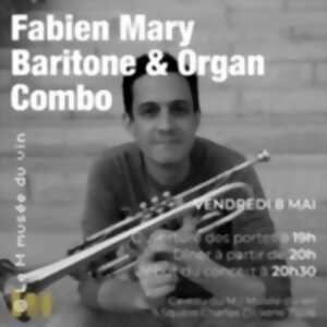 Fabien Mary - Baritone & Organ Combo