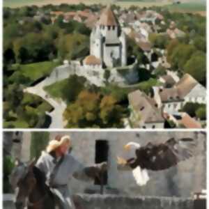 Pass Provins + Spectacle Les Aigles des Remparts