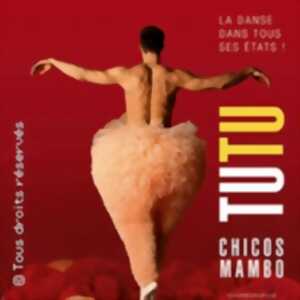 Tutu - Chicos Mambo - Tournée