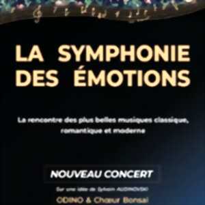 photo Odino et Choeur Bonsai - La Symphonie des Emotions