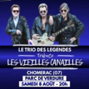 Le Trio des Légendes Tribute - Les Vieilles Canailles