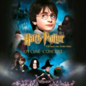 photo Harry Potter à l'École des Sorciers en Ciné-Concert