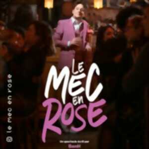 Ben H. - Le Mec en Rose (Tournée)