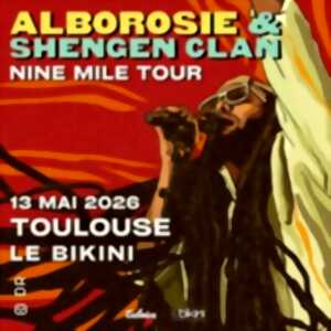 photo Alborosie - Toulouse