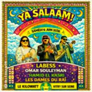 photo Labess + Omar Souleyman + Hamid el Kasri + Les Dames du Raï - Ya Salaam !