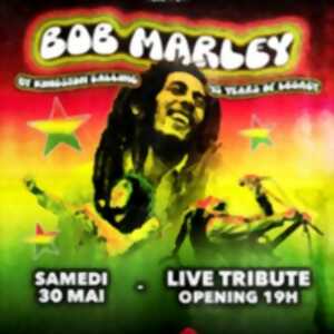 photo Bob Marley - Live Tribute