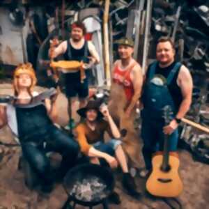 Steve'N'Seagulls - Tournée