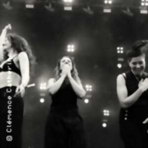 Madam + Animo Virile