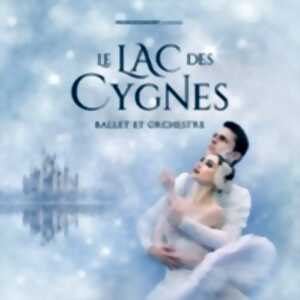 photo Le Lac des Cygnes - Ballet & Orchestre - Tournée 2027