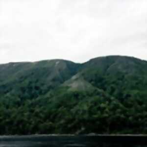 Maldoror - Festival d'Avignon