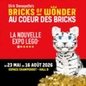 Bricks Of Wonder - Billet VIP Open - Au Coeur des Bricks