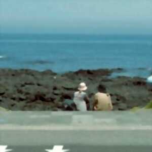 photo Che dolore terrible è l'amore - Festival d'Avignon