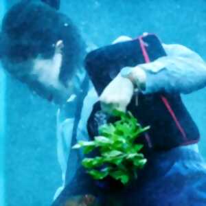 MULJIL- Festival d'Avignon