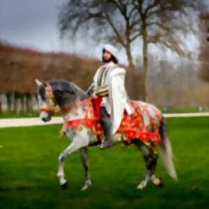 photo Spectacle Chevaux Domaine national de Chambord