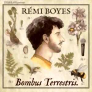 Rémi Boyes - Bombus Terrestris - Tournée