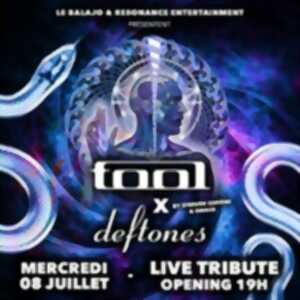 Tool x Deftones - Livre Tribute au Balajo