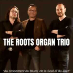 The Roots Organ Trio