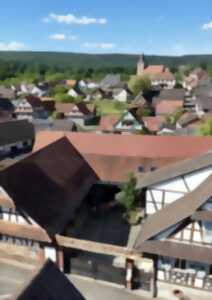 Les trésors de l'Autre-Forêt