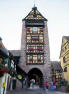 La nuit des musées - Musée du Dolder