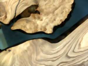 Exposition : Visions d'arbre