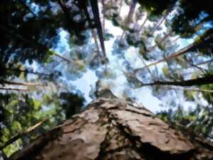 Biodiversité en fête