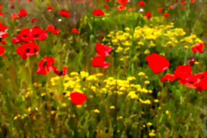 LE PRINTEMPS EN FOLIE