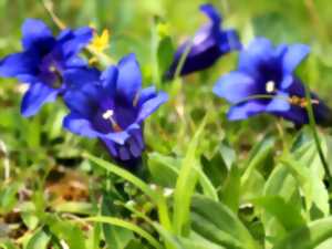 Club bota’ : atelier initiation à la photo macro