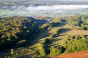 Découverte de la pelouse calcaire du Potelon