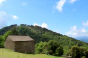 EN CHEMIN J'AI RENCONTRÉ : LES MURMURES DE LA CRÊTE