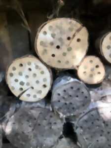 Les pollinisateurs sauvages